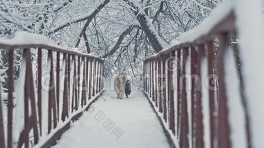 白狗在树林里的桥上繁殖金毛猎犬和达春德。 冬天，<strong>飘落</strong>着蓬松的雪。